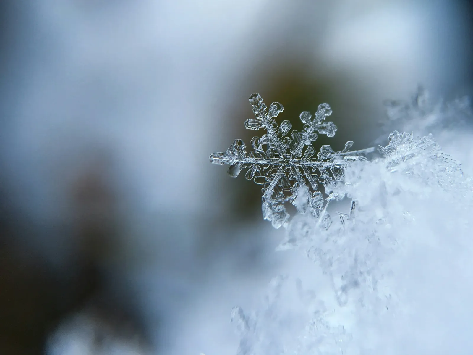 Winter Mental Health: Why Slowing Down Is Essential | Chicago Therapist